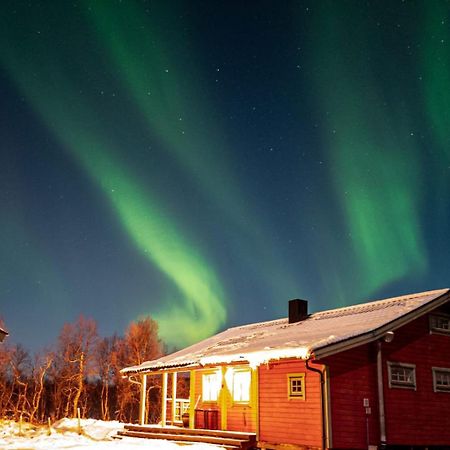 Trivelig Hytte I Senja. Esterno foto