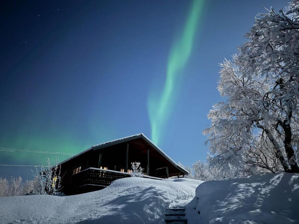 Trivelig Hytte I Senja. Esterno foto