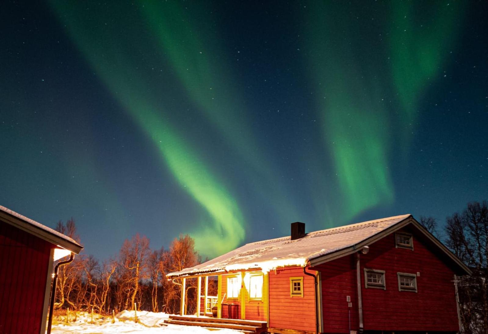 Trivelig Hytte I Senja. Esterno foto