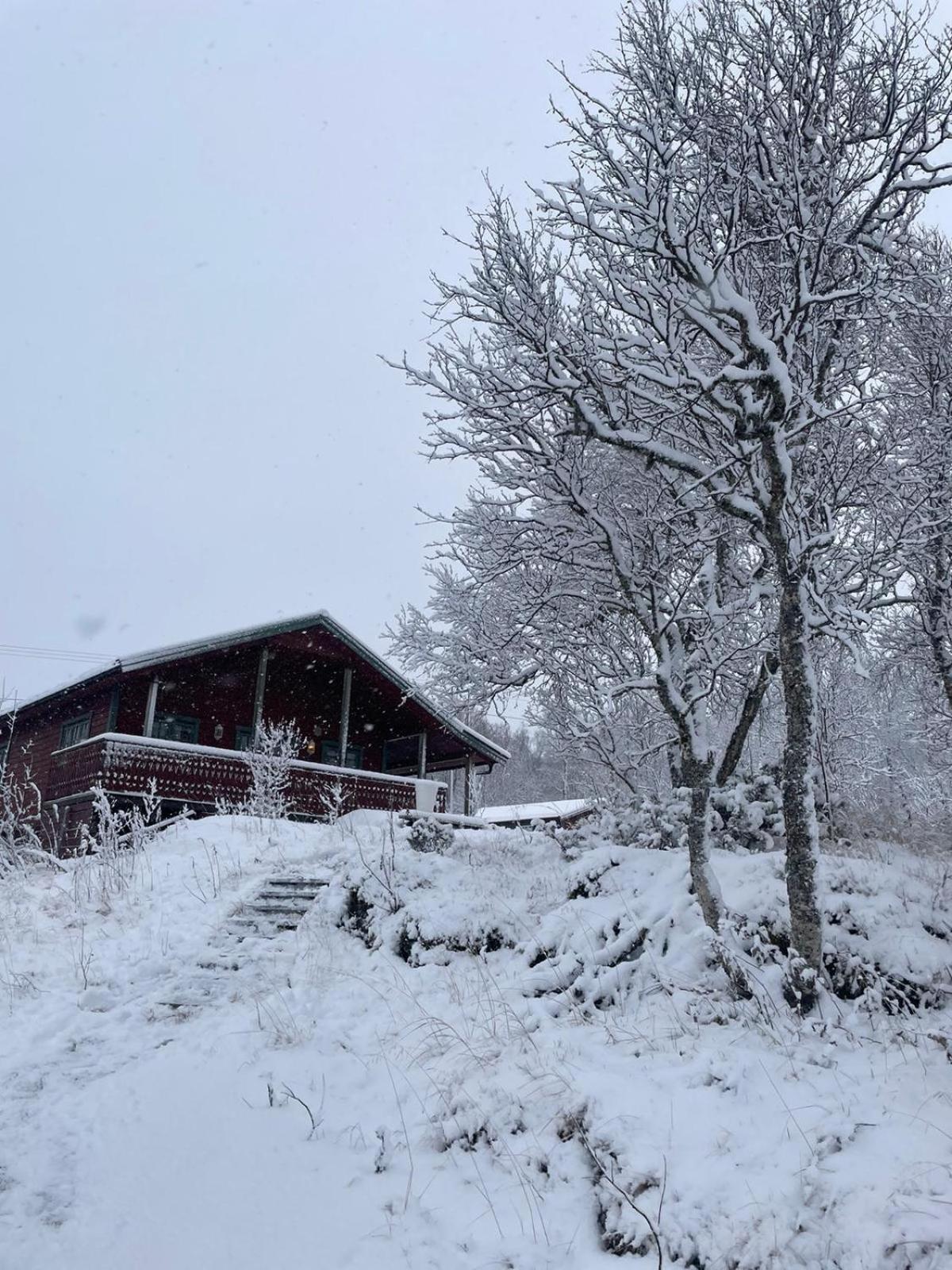Trivelig Hytte I Senja. Esterno foto